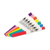 Zebra Z Band Fun Pink HC100/ZD510 MOQ X6