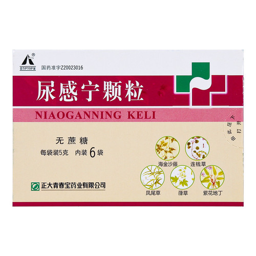 DENGFENG NIAOGANNING KELI For Urethritis 5g*6 Granules