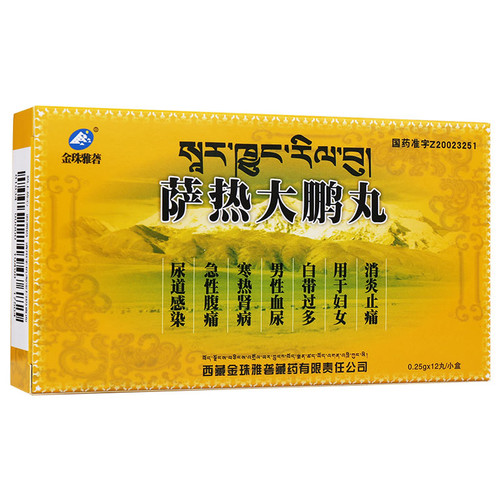 Jin Zhu Ya Long Sa Re Da Peng Wan For Nephritis 0.25g*12 Pills