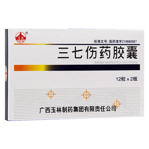 YULIN SANQISHANGYAO JIAONANG For Bruises 0.25g*24 Capsules