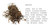 Liang Fen Cao Chinese Mesona Herb