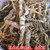 Teng Huang Zheng Gen Garcinia Pedunculata Roxb Whole Roots