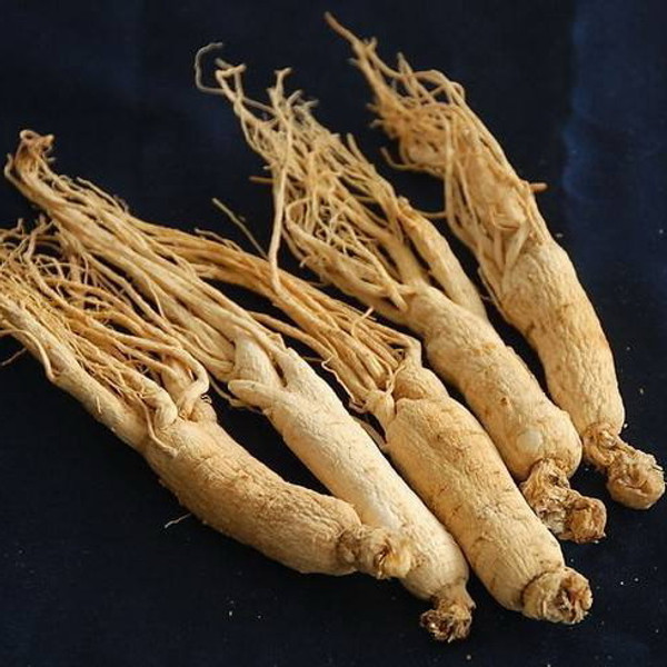 Ren Shen Ginseng