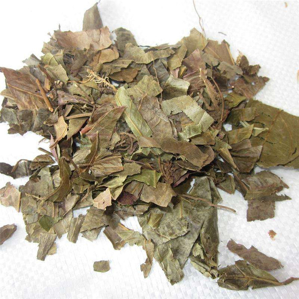 Fu Shui Cao Veronicastrum Herb