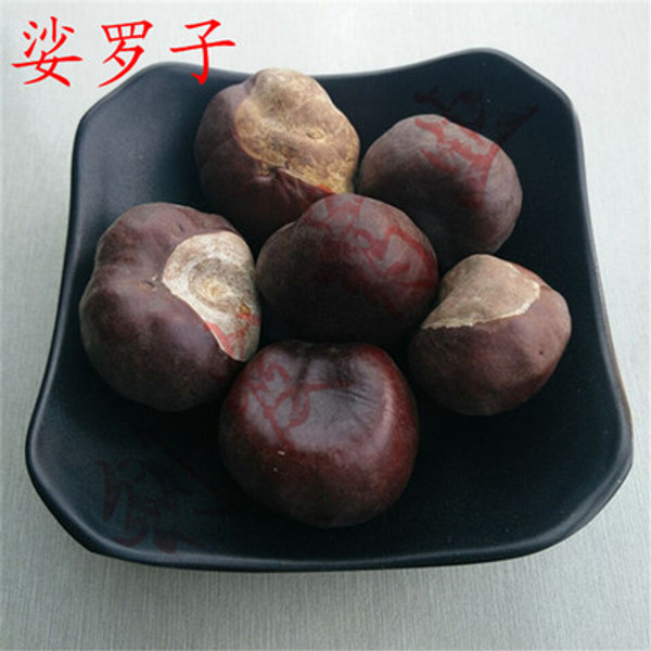 Suo Luo Zi Chinese Buckeye Seed