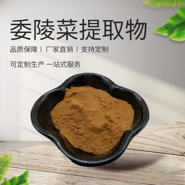Wei Ling Cai Ti Qu Wu Chinese Cinquefoil Herb Extract Powder 10:1