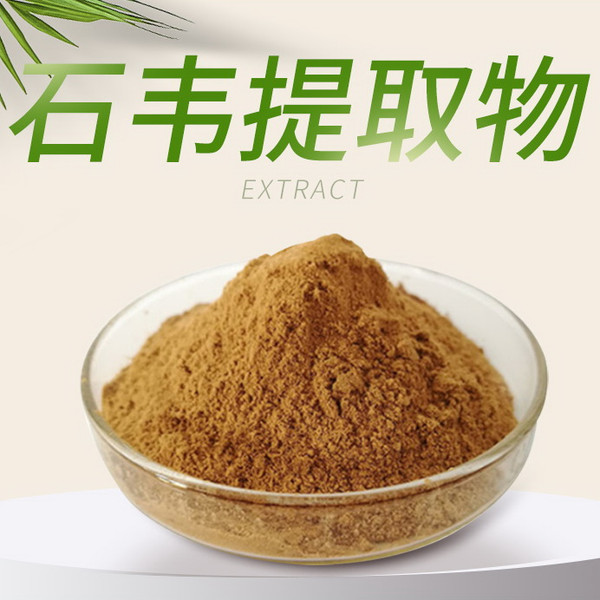Shi Wei Ti Qu Wu Folium Pyrrosiae Extracted Powder 10 : 1