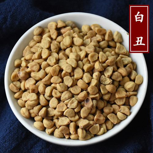 Qian Niu Zi Bai Chou Semen Pharbitidis Herb Land Qian Niu Zi Bai Chou Semen Pharbitidis Herb Land