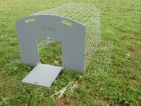 Low run 1.2m with free ranging end