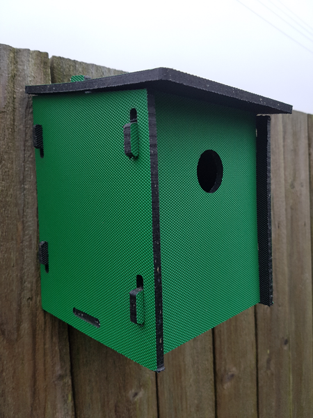 bird box