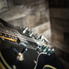 Schecter PT Fastback II B Electric Guitar - Dark Emerald Green (2210) | Musician Madness
