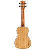 Alvarez All-Solid Bamboo Concert Ukulele (MU55C) | Musician Madness