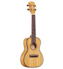Alvarez All-Solid Bamboo Concert Ukulele (MU55C) | Musician Madness