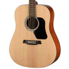 Walden D350 Standard Dreadnought Acoustic - Gloss Natural (D350/W) | Musician Madness