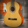 WALDEN N350 Standard Nylon Classical - Gloss Natural | Musician Madness