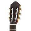 Walden N550E Natura Solid Spruce Top Nylon Classical-Electric - Open Pore Satin Natural (N550E/W) | Musician Madness