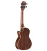 Alvarez Artist AU70WCCE Concert Acoustic-Electric Ukulele w/ EQ & Tuner (AU70WCCE) | Musician Madness