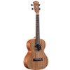 Alvarez Regent Tenor Ukulele