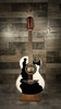 H. Jimenez Bajo Quinto Cutaway Electric (LBQ4EBT) | Musician Madness