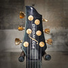 Flaxwood Rautia Glossy Black w/ Gold Hardware (Used) | Musician Madness