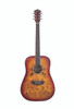 Washburn  Deep Forest Burl Dreadnought Acoustic Guitar - Amber Fade (DFBDA) | Musician Madness