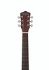 Washburn DFBDA Deep Forest Burl Dreadnought Acoustic Guitar in Amber Fade finish featuring burl top, mahogany body, and dreadnought shape for bold tone and elegant appearance.