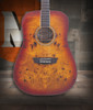 Washburn DFBDA Deep Forest Burl Dreadnought Acoustic Guitar in Amber Fade finish featuring burl top, mahogany body, and dreadnought shape for bold tone and elegant appearance.