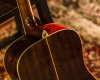 Washburn WD100DL Dreadnought Mahogany Acoustic Guitar w/ Gigbag (WD100DLMK-U) | Musician Madness