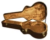 Washburn GCGADLX Deluxe Grand Auditorium Case (GCGADLX-U) | Musician Madness