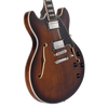 Dâ€™Angelico Premier DC with Gig Bag - Brown Burst (DAPDCBRBNS) featuring a semi-hollow double-cut body, dual humbuckers, smooth neck profile, and a warm Brown Burst finish with an included padded gig bag.