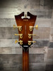 D'Angelico Premier EXL-1 Archtop - Brown Burst (DAPEXL1GBRBGT) | Musician Madness