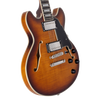 Dâ€™Angelico Premier Mini DC - Dark Iced Tea Burst (DAPMDCDITBNS) featuring a compact semi-hollow double-cut design, stop-bar tailpiece, dual humbuckers, and a rich Dark Iced Tea Burst finish for warm, versatile tone.