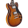 D'Angelico Premier Mini DC - Dark Iced Tea Burst (DAPMDCDITBNS) featuring a compact semi-hollow double-cut design, stop-bar tailpiece, dual humbuckers, and a rich Dark Iced Tea Burst finish for warm, versatile tone.