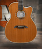 Alvarez Yairi Masterworks FYM74CE OM Acoustic-Electric (FYM74CE) | Musician Madness