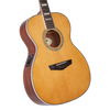 The Tammany Orchestra E Acoustic Guitar (DAPOMVNATAPS) features an Orchestra-size body with a smooth Vintage Natural finish for classic acoustic appeal. Designed for comfort and balanced tone, it offers warm mids, clear highs, and easy playabilityÃ¢â‚¬â€perfect for students, casual players, and those wanting a comfortable, great-sounding acoustic for practice or performance.