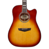 The Dâ€™Angelico Bowery Dreadnought CE (DAPD500ITBAPS) features a full-size dreadnought body with a cutaway for enhanced upper-fret access. Its Iced Tea Burst finish adds vintage character and stage-ready visual appeal. With strong projection, warm acoustic tone, and quality electronics, i-s ideal for live performers, singer-songwriters, and players seeking a bold, reliable acoustic-electric guitar.