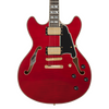 The Dâ€™Angelico DAEDCTCH2GS Double Cutaway Electric Guitar features a striking Trans Cherry finish paired with a classic double-cut body and stop-bar tailpiece for enhanced sustain and stability. Its comfortable neck, quality pickups, and refined craftsmanship deliver warm, expressive tones suited for blues, rock, jazz, and everyday playing. A stylish and versatile instrument built for reliability and musicality.