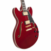 D'Angelico Double Cutaway Electric Guitar w/ Gig Bag - Trans Cherry (DAEDCTCH2GS) | Musician Madness
