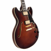 D'Angelico Double Cutaway Electric Guitar w/ Gig Bag - Amaretto Burst (DAEDCARBGS) | Musician Madness