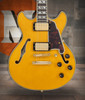 The Dâ€™Angelico DAEMDCAMBGS Mini Double Cutaway Electric Guitar features a scaled-down double-cut body with a rich Amber finish, offering comfortable playability and classic aesthetics. The stop-bar tailpiece enhances sustain and tuning stability, while quality pickups deliver warm, articulate tones ideal for blues, rock, and versatile everyday playing. A stylish and compact option for musicians of all levels.