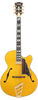 The DÃ¢â‚¬â„¢Angelico Single Cutaway Hollowbody in Amber (DAE16AMBGT) delivers warm jazz tone, classic archtop styling, and includes a fitted case. Available at Musician Madness.