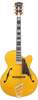 D'Angelico Single Cutaway Hollowbody w/ Case - Amber (DAE16AMBGT) | Musician Madness