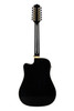 Shop the H. Jimenez Glossy Guitarra Doble 12-String Cutaway Electric in Glossy Black w/ Hardwood Case (LGD1-CEBK) at Musician Madness. Rich tone, stage-ready electronics.