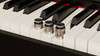 NUX NCK-330 Digital Piano (NUX NCK330BK) | Musician Madness