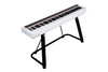 Shop the NUX NPK-10 Portable Digital Piano with Dual-Mode Bluetooth in White (NPK10WH) at Musician Madness. Sleek design, modern connectivity, and expressive sound.
