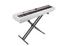 NUX NPK-20 Digital Piano - White (NUX NPK20WH) | Musician Madness