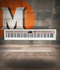 NUX NPK-20 Digital Piano - White (NUX NPK20WH) | Musician Madness
