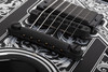 Schecter V-1 Przym Palladium Electric Guitars - Gloss Black (923) | Musician Madness
