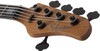 Schecter Model-T 5 Exotic Black Limba - Natural Satin (2833) | Musician Madness