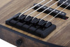 Schecter Model-T 5 Exotic Black Limba - Natural Satin (2833)